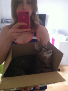 Glückliche Mieze im Pappkarton