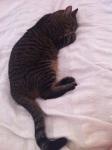 Cindy beim Chillen III