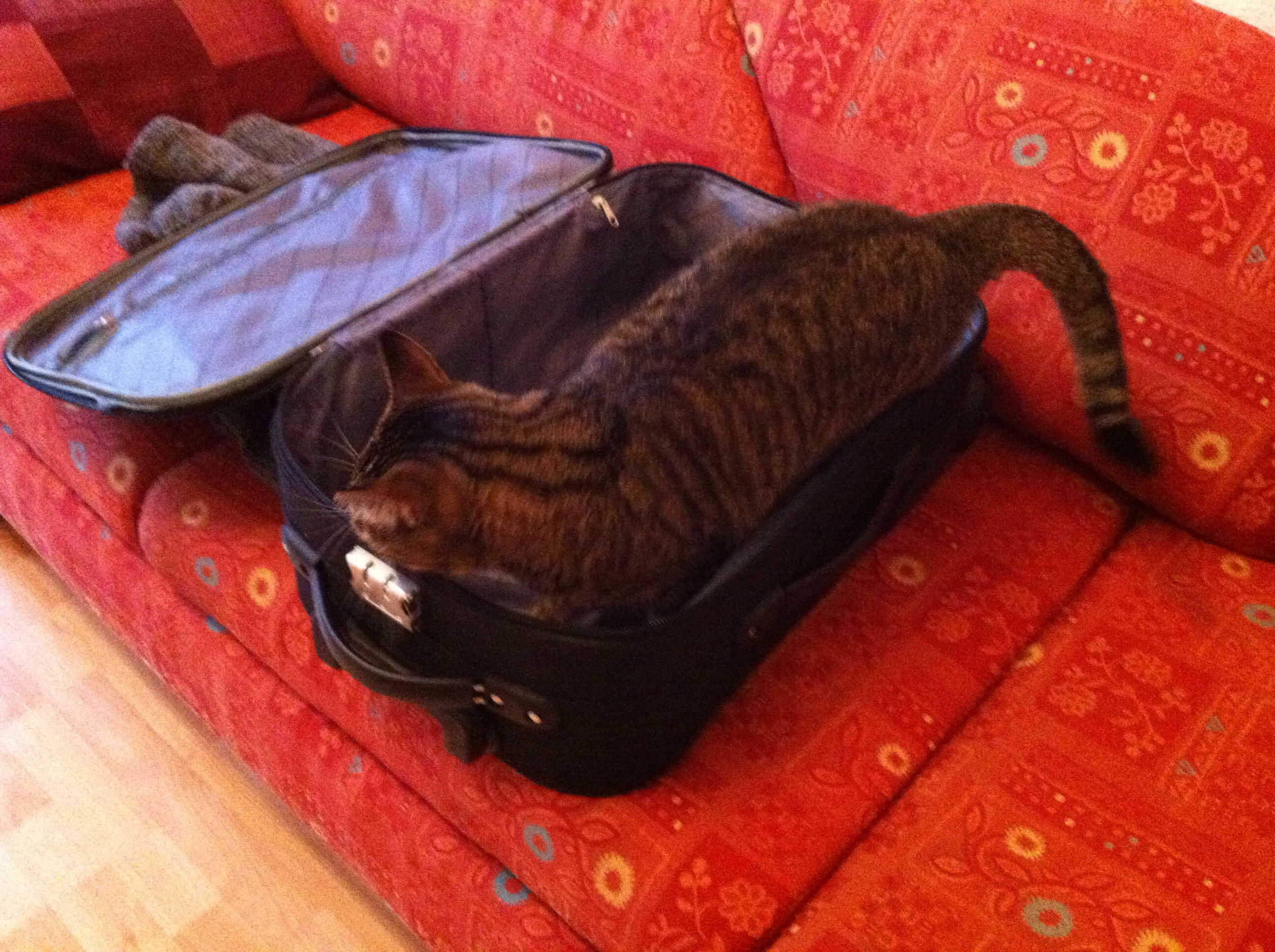 Oh, was ist das denn?!?