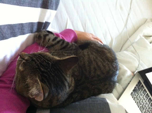 Cindy hat die große Mieze beim 