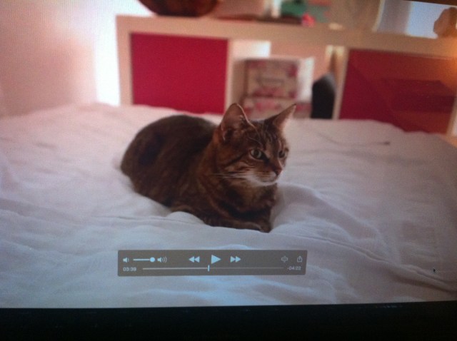 Cindy kommt natürlich auch drin vor 