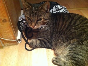 Empfang durch Cindy an der Tür